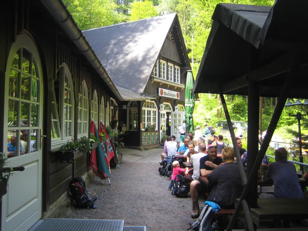 Schlafwandler Steinigtwolmsdorf