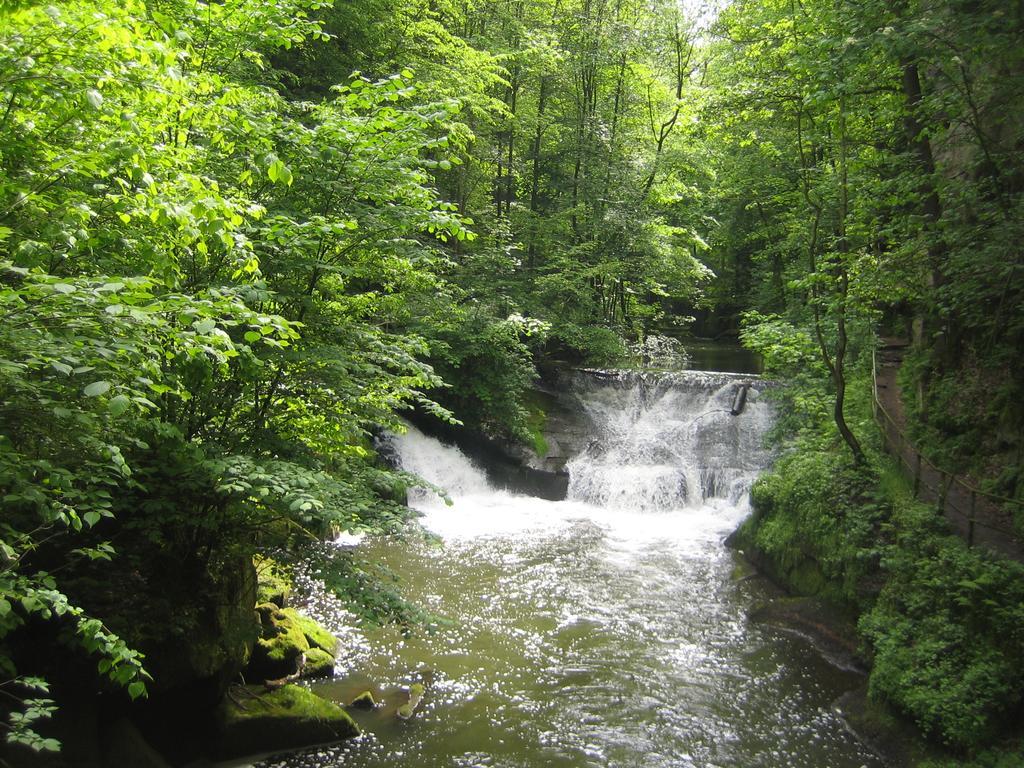 Schlafwandler